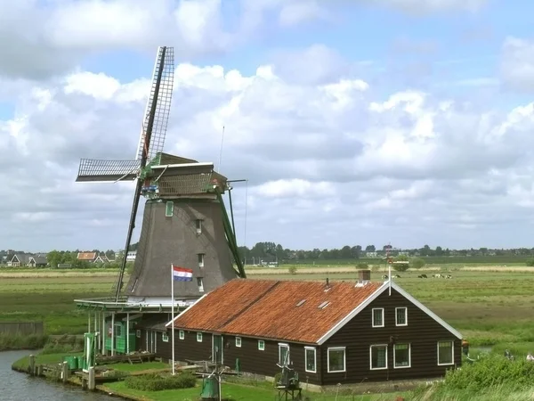 Molino Viento Tradicional Holandés Zaanse Schans Países Bajos —  Fotos de Stock