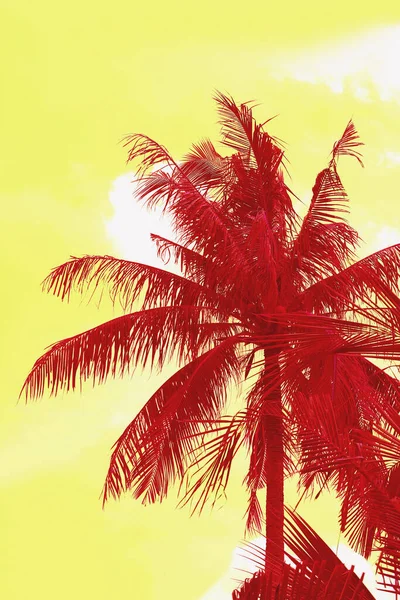 Sarı Gökteki Kırmızı Palmiye Ağacının Soyut Gerçeküstü Pop Sanat Tarzı — Stok fotoğraf