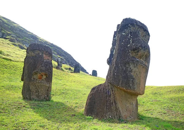 Abbandonate Imponenti Statue Moai Sul Pendio Del Vulcano Rano Raraku — Foto Stock