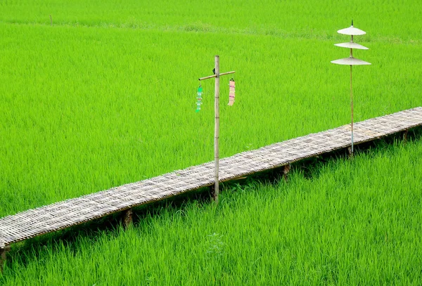 Puente Bambú Largo Vacío Con Decoración Estilo Étnico Campo Arroz —  Fotos de Stock