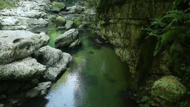 Diepgroene kleur van de rivier de Abasha in de Martvili Canyons, regio Samegrelo, Georgië, schoonheid in de natuur — Stockvideo