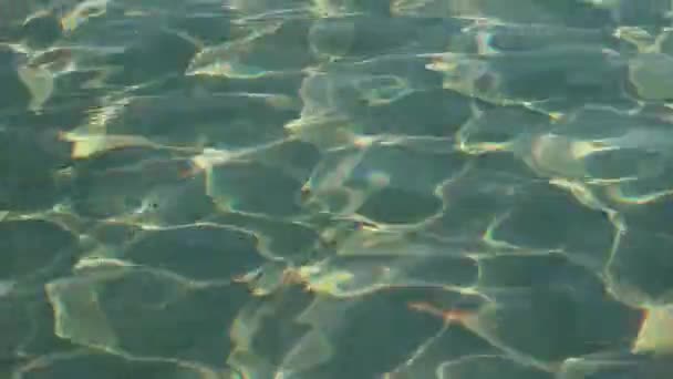 Artistiek wateroppervlak reflecterend met het zonlicht, Textuur achtergrond — Stockvideo