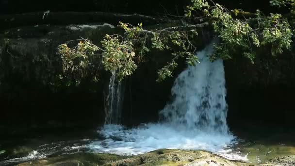 Waterval in het bos van Martvili canyons, regio Samegrelo, Republiek Georgië — Stockvideo