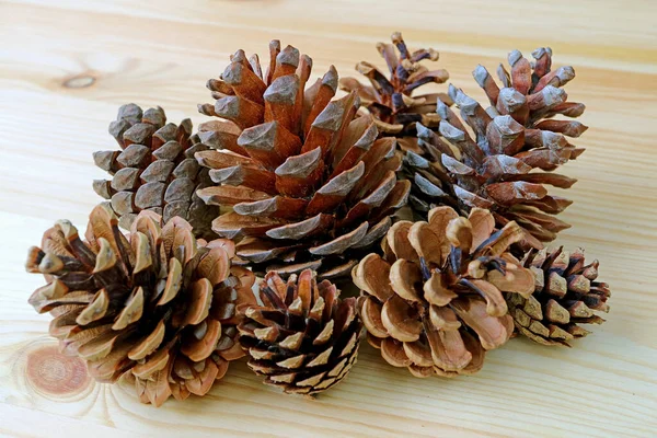 Closeup Group Natural Dry Pine Cones Wooden Background — Stock Photo, Image