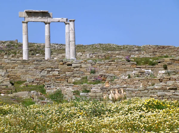 Vestiges Incroyables Temple Grec Antique Sur Champ Fleurs Sauvages Site — Photo