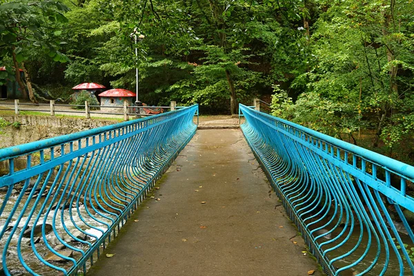 Ponte Ferro Forjado Azul Vibrante Parque — Fotografia de Stock