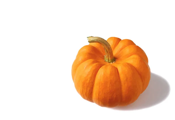 Color Naranja Vibrante Calabaza Madura Aislada Sobre Fondo Blanco — Foto de Stock