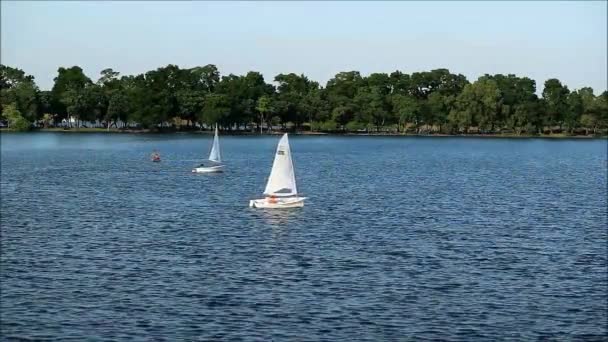 Footage People Enjoying Sailboats Kayak Lake — Stock Video