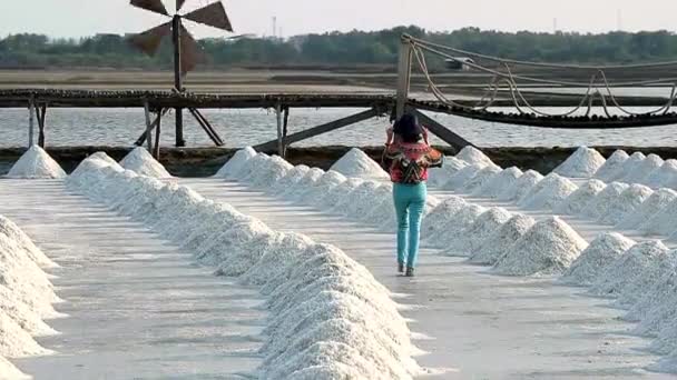 Tayland Samut Sakhon Bölgesindeki Rüzgârlı Bir Tuz Tarlasında Hasat Edilmiş — Stok video