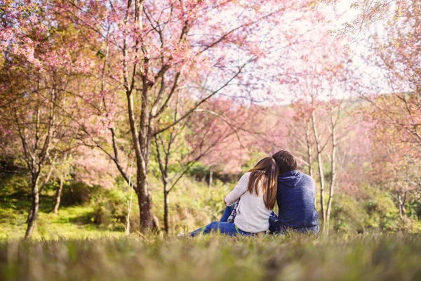 Ungt par går i parken och ser körsbärs blommor tre — Stockfoto