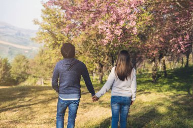 Genç çift parkta yürüyüş ve kiraz çiçekleri Tre görünümlü