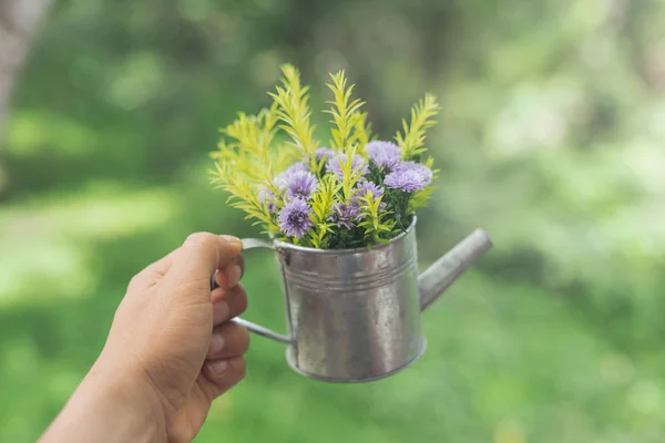 Tenuta a mano decorare fiori in vaso — Foto Stock