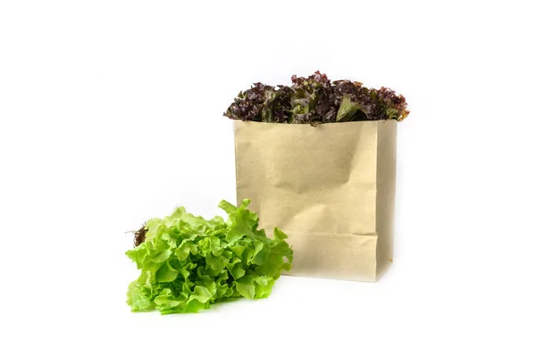 Grocery bag with fresh hydroponics vegetables isolated on white — Stock Photo, Image