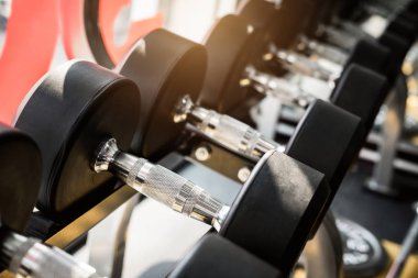 Bir spor salonunda bir raf üzerinde halter satırlar