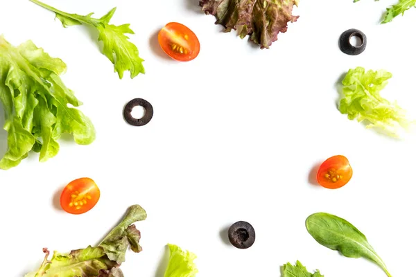 Berbagai sayuran hidroponik diisolasi dengan latar belakang putih — Stok Foto