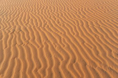 Çöldeki kum dalgalarının soyut arkaplan ve dokusu