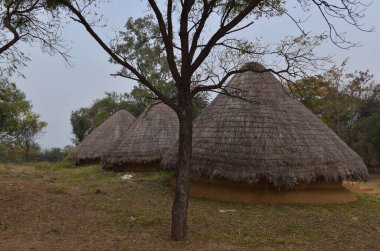 Bhopal, Madhya Pradesh / Hindistan: 15 Ocak 2020 - Manav Sangrahalaya Bhopal 'deki kabile kulübesi