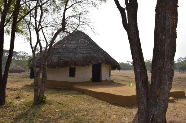 Bhopal, Madhya Pradesh / Hindistan: 15 Ocak 2020 - Manav Sangrahalaya Bhopal 'deki kabile kulübesi