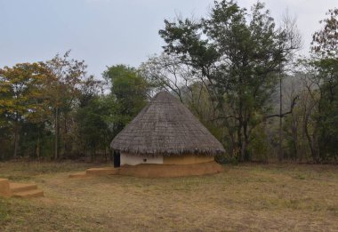 Bhopal, Madhya Pradesh / Hindistan: 15 Ocak 2020 - Manav Sangrahalaya Bhopal 'deki kabile kulübesi