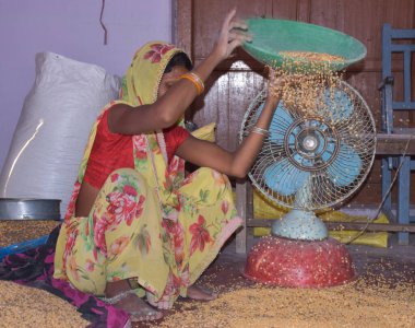 Karakbel, Madhya Pradesh / Hindistan: 30 Nisan 2020 - Kırsal Hintli kadınlar evlerinde tahıl temizliyor