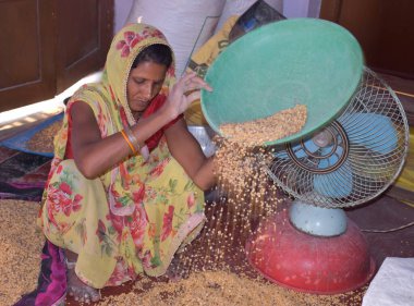 Karakbel, Madhya Pradesh / Hindistan: 30 Nisan 2020 - Kırsal Hintli kadınlar evlerinde tahıl temizliyor