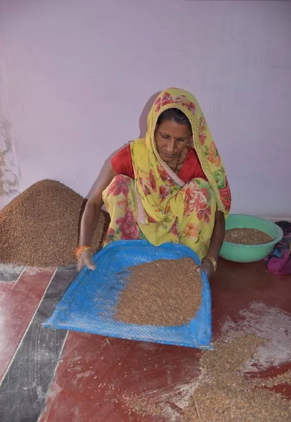 Karakbel, Madhya Pradesh / Hindistan: 30 Nisan 2020 - Kırsal Hintli kadınlar evlerinde tahıl temizliyor
