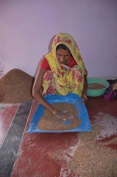 Karakbel, Madhya Pradesh / Hindistan: 30 Nisan 2020 - Kırsal Hintli kadınlar evlerinde tahıl temizliyor