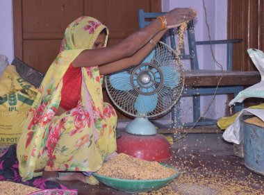 Karakbel, Madhya Pradesh / Hindistan: 30 Nisan 2020 - Kırsal Hintli kadın evde tahıl temizliyor