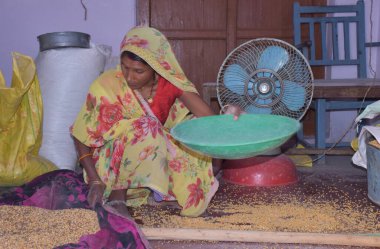 Karakbel, Madhya Pradesh / Hindistan: 30 Nisan 2020 - Kırsal Hintli kadın evde tahıl temizliyor