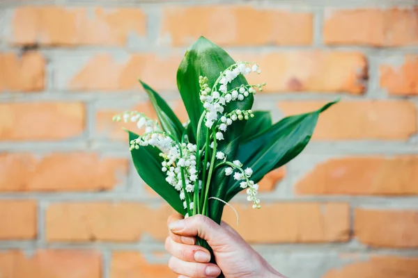 Lilies of the valley. A bouquet of lilies of the valley in a woman\'s hand. The first flowers, spring flowers. woman holding a bouquet of flowers lily of the valley