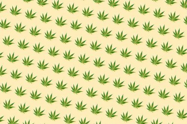 Açık sarı arka planda yeşil yaprak kenevirinden yapılan modaya uygun bir model. Asgari CBD Petrol kavramı
