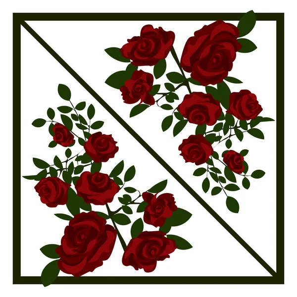 Två Buketter Reflekterade Vackra Blommande Röda Rosor För Gratulationskort — Stock vektor