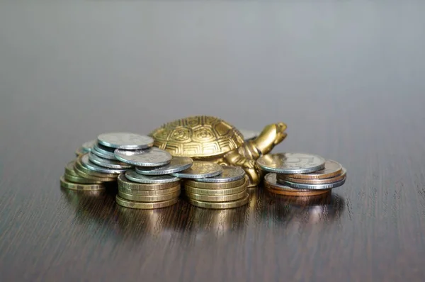 Tartaruga Metálica Com Moedas Fundo Uniforme Símbolo Estabilidade Financeira — Fotografia de Stock