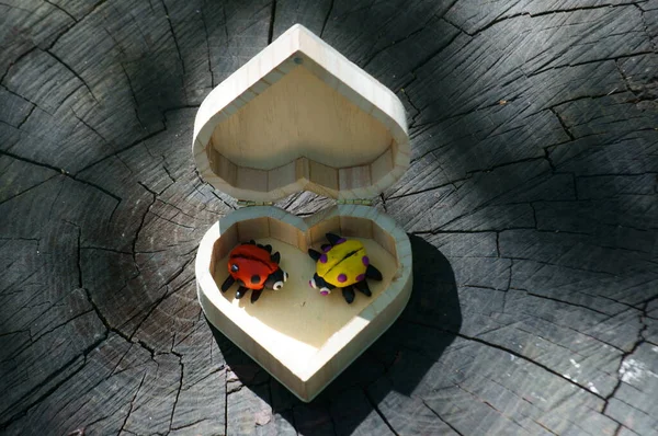Two ladybugs made of plasticine on a wooden box in the form of a heart.
