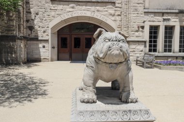 Indianapolis - Mayıs 2020: Butler Üniversitesi ve atletizm maskotu, Butler Blue Atherton Union 'u koruyor. Butler Üniversitesi 1855 'te kuruldu..