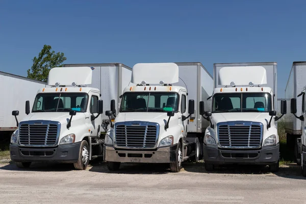 Indianapolis Circa Czerwiec 2020 Freightliner Semi Trailer Trucks Lined Sale — Zdjęcie stockowe