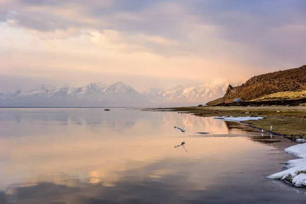 Aube du soleil, tôt le matin sur le lac Manasarovar . — Photo