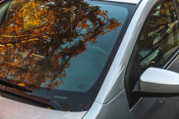 Αντανάκλαση Των Φθινοπωρινών Φύλλων Από Παρμπρίζ Ενός Αυτοκινήτου — Φωτογραφία Αρχείου