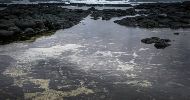 Kayalık kıyı şeridine sahip deniz manzarası 