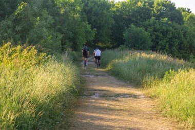 Bisikletçiler ormanda bir yolda bisiklet sürüyorlar.