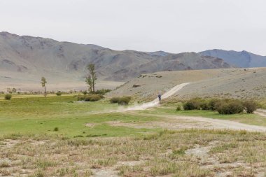 Tipik Moğolistan manzaraları. Dağ yamaçları ve vadiler. Altai, Moğolistan