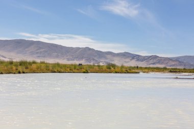 White Mountain Nehri. Arka planda dağlar. Altai, Moğolistan