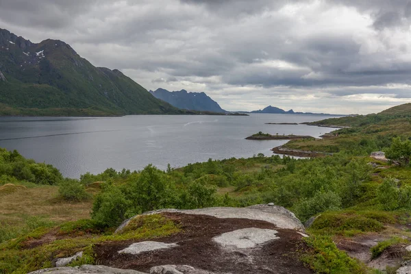 美しいノルウェーの風景 フィヨルドの眺めだ澄んだ水のノルウェーの理想的なフィヨルドの反射曇りの天気で 選択的焦点 — ストック写真