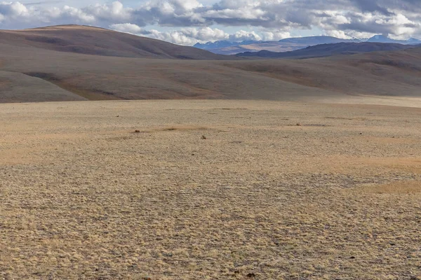 Pohled Mongolské Pastviny Mongolská Krajina Altai Hory — Stock fotografie