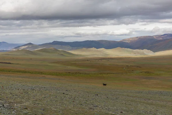 Paisagens Mongóis Secas Nas Montanhas Altai Ampla Paisagem — Fotografia de Stock