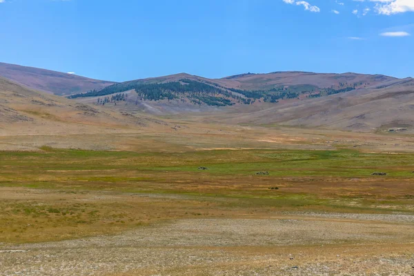 Типові Пейзажі Монголії Гірські Схили Долини Алтай Монголія — стокове фото