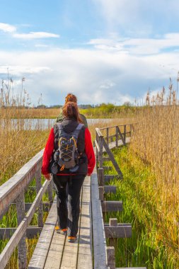Enkoping, İsveç - Maj 24, 2020: Tahta yürüyüş yolu boyunca iki kadın