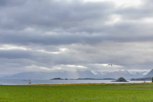Εντυπωσιακή Καλοκαιρινή Θέα Του Φιόρδ Στη Νορβηγία Πολύχρωμη Πρωινή Σκηνή — Φωτογραφία Αρχείου
