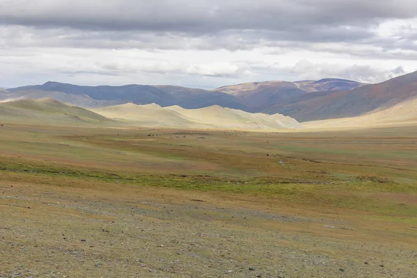 蒙古风景 Bayar Ulgii的Altai Tavan Bogd国家公园 — 图库照片