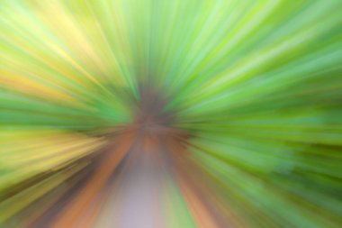 Soyut fotoğraf, yazın çekilen orman, hareket ve yakınlaştırmanın farklı etkileriyle. Renkli desenli arka plan. uzun deklanşör hızı.